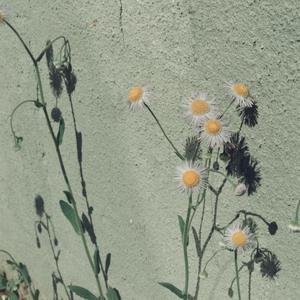 五十老女人弄高潮的网名
